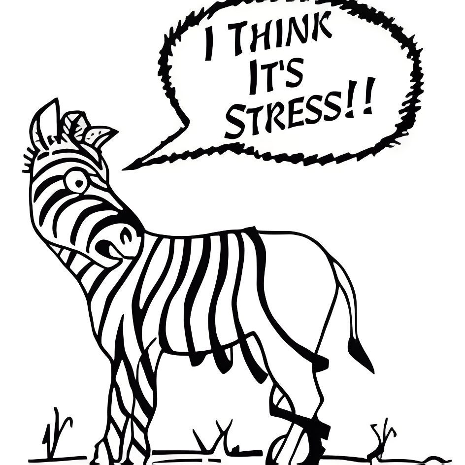 Zebra expressing stress humorously